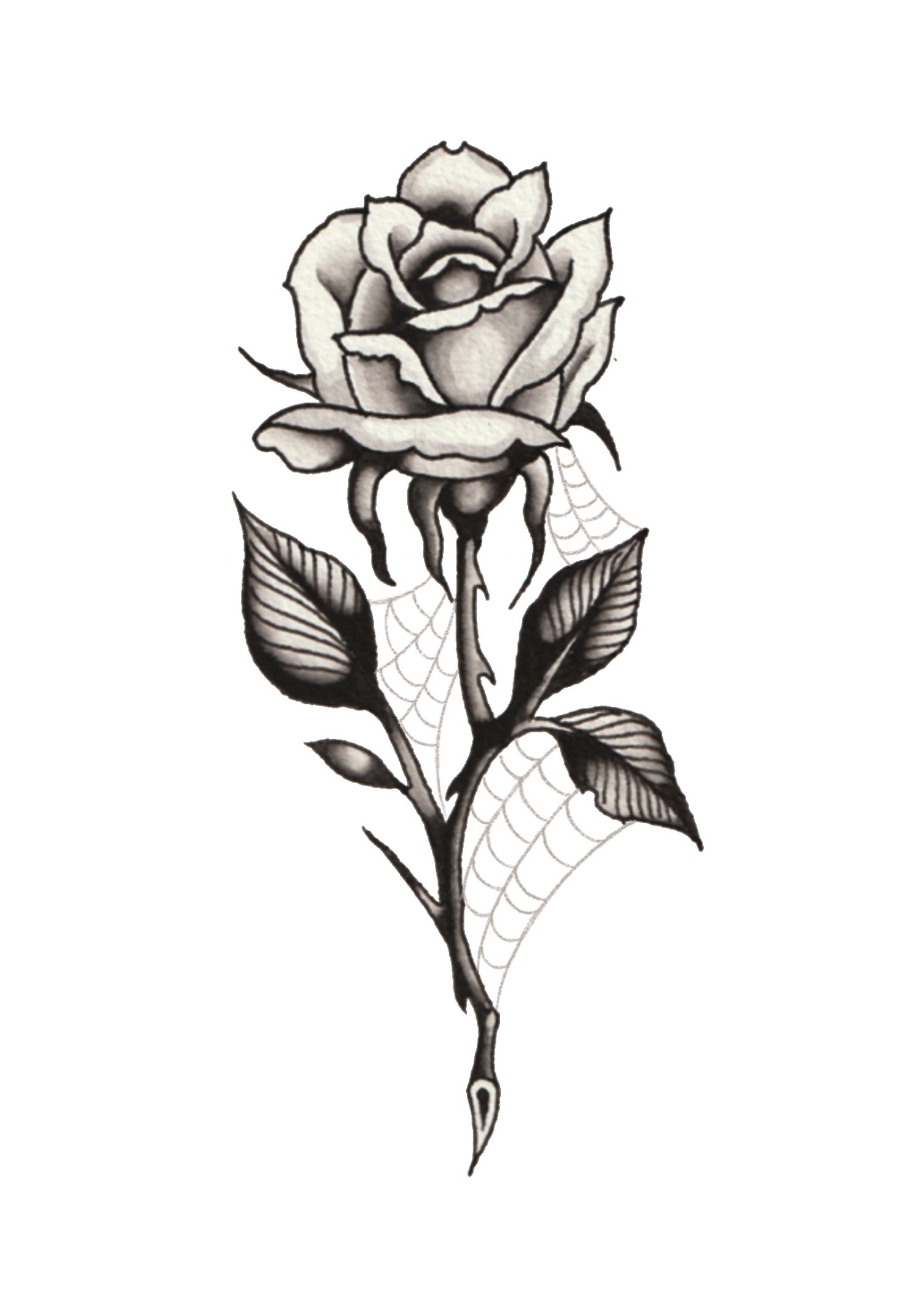 Rose Tattoo Outline rose-tattoo-outline