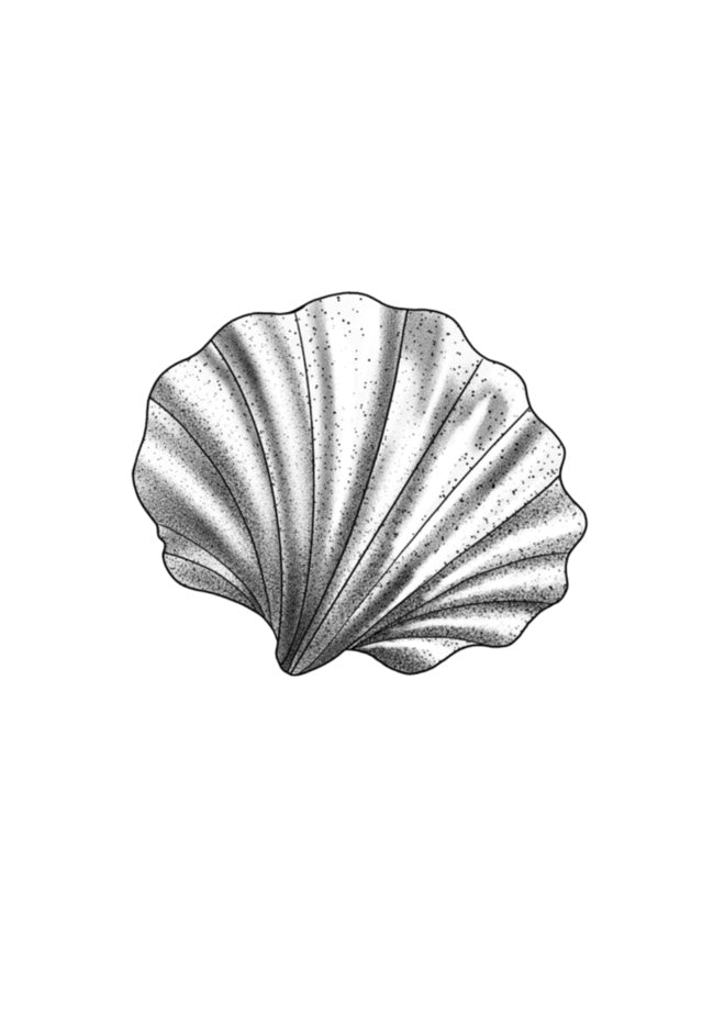 black, gray and white, fine-line tattoo flash illustration of a shell with stipple minimal shading 